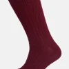 Premium Cotton Sock Rib - Burgundy