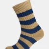 Premium Cotton Sock Stripe - Beige/Blue